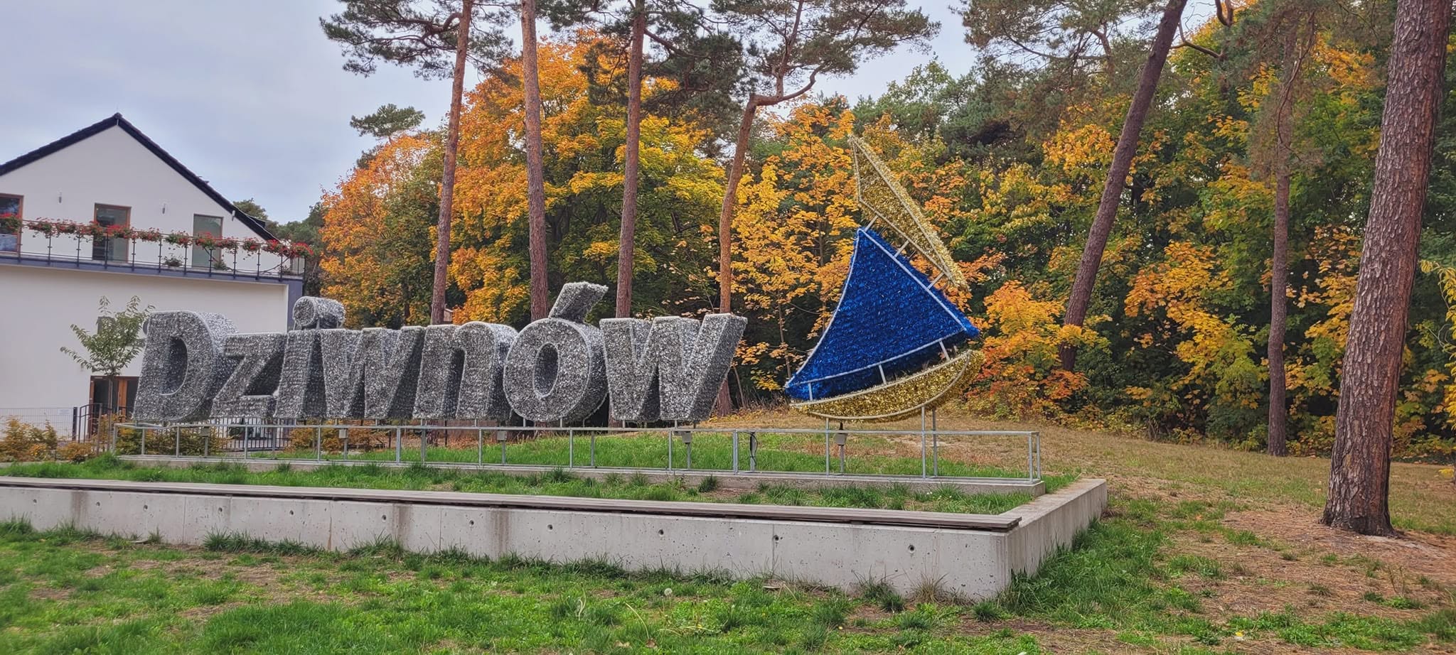 Las sosnowy w okolicy Dziwnowa