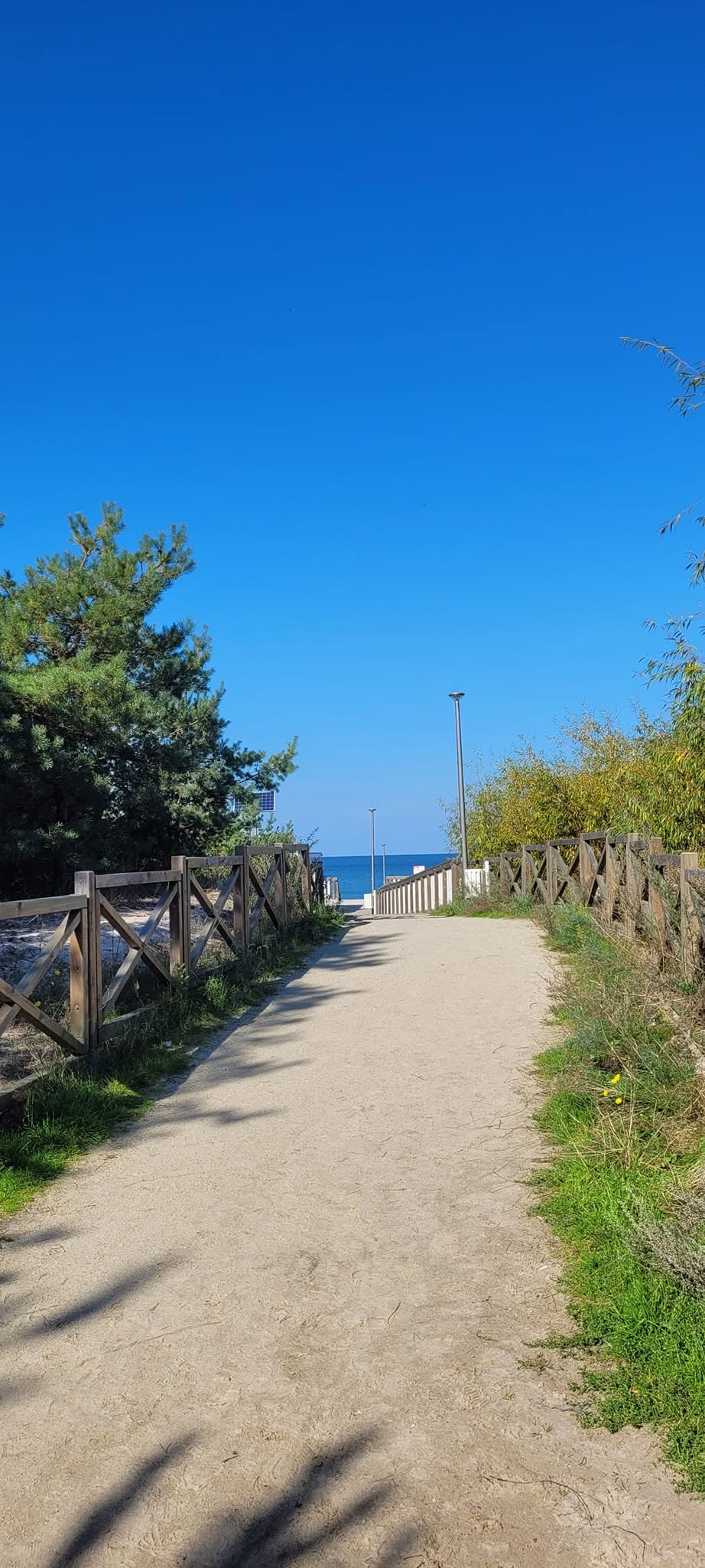 Hacjenda Dziwnów — fotografia 35